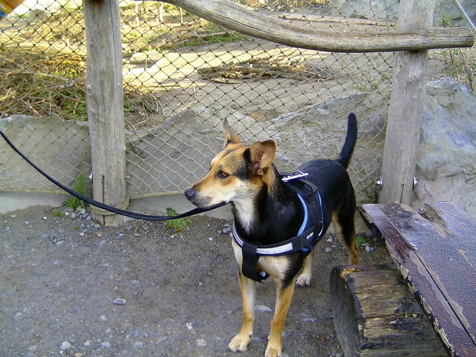 Zoom 18.10.08-020.jpg